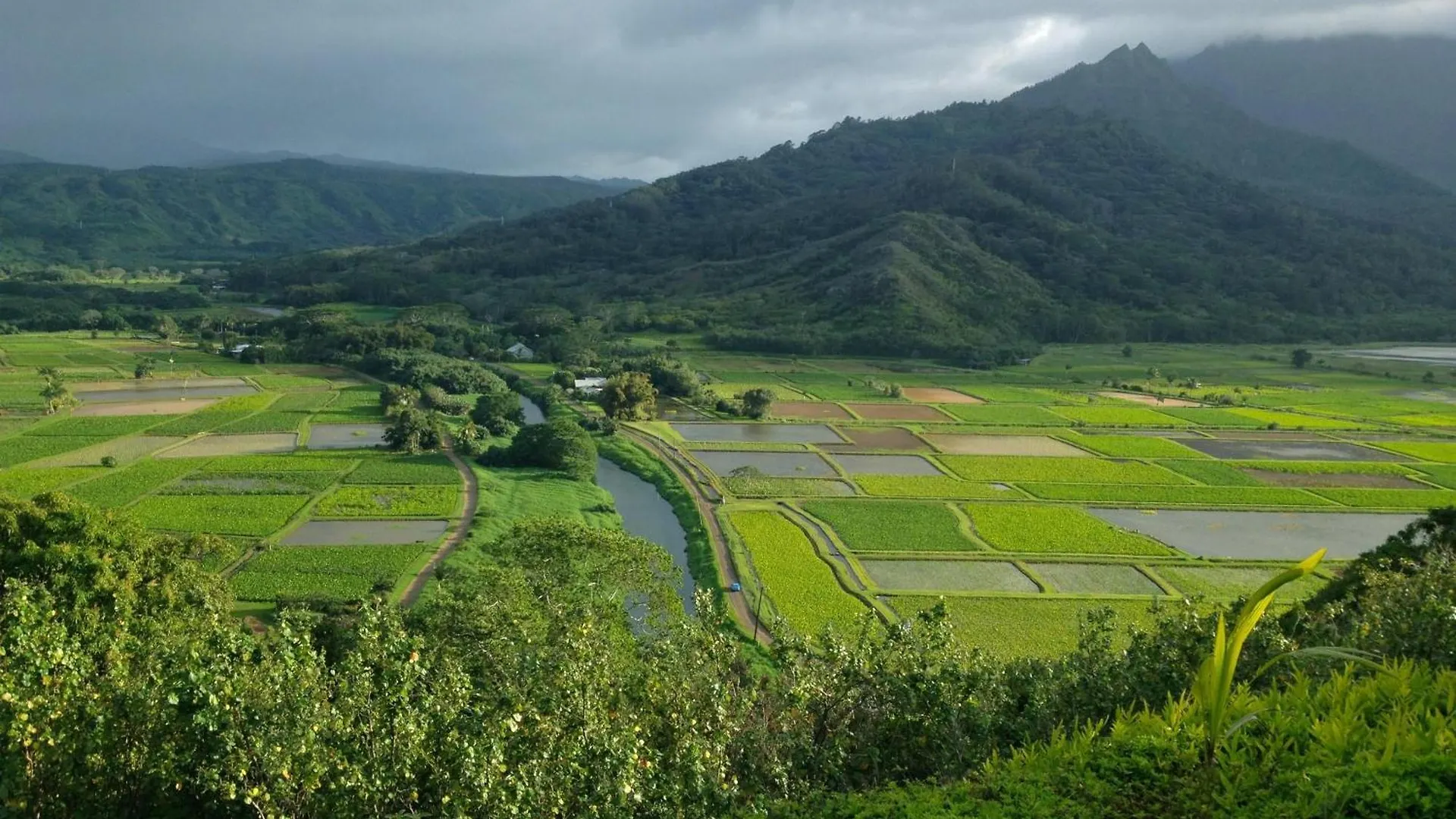 Puamana 25A Lägenhet Princeville